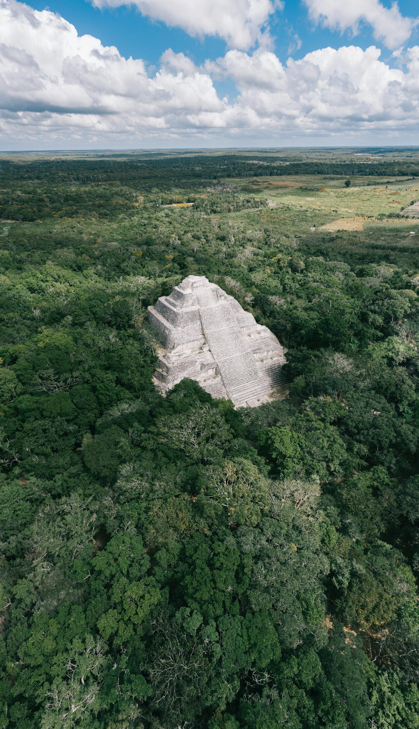 Countries 9 Stunning drone shot of ancient Calakmul archaeological site surrounded by lush green jungle.